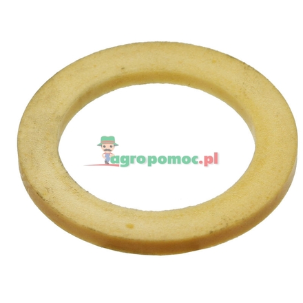  Sealing ring | 199860030330