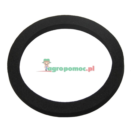  Sealing washer | 3045418M1