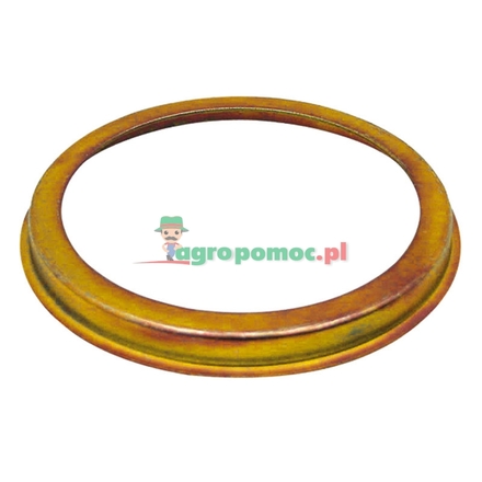  Thrust washer | 178301060020