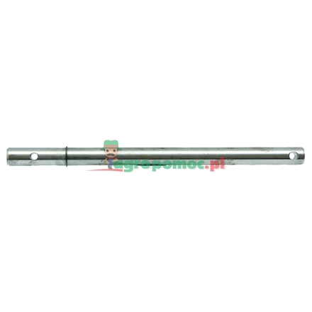 Tine arm axle | K8009750
