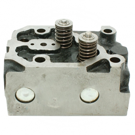 AGTECH Engine Cylinder Head Complete with Valves | 65646505110S