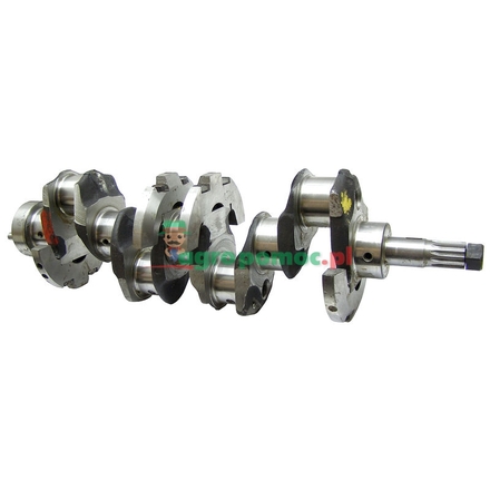 Belarus Crankshaft 4-cylinder | 2401005010A