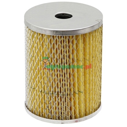 Belarus Fuel filter | A650110010