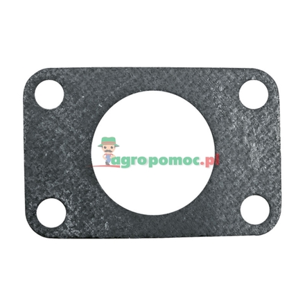 Belarus Gasket | 501008028