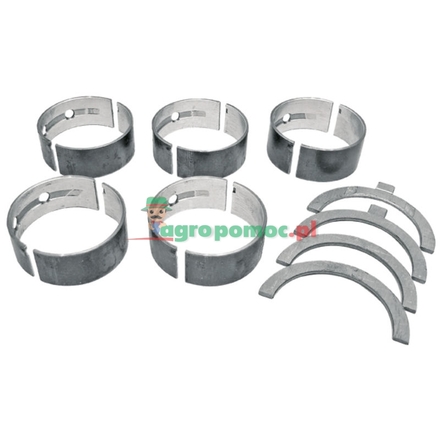 Belarus Main bearing set | 5010051-B3, 5010051-00N1