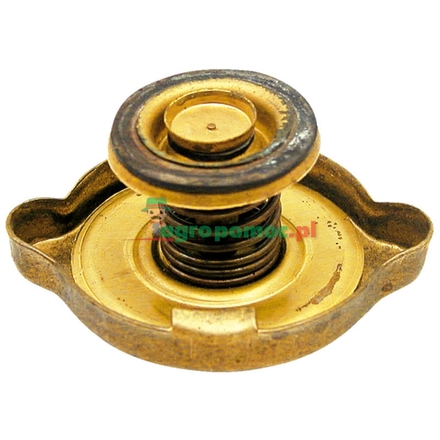 Belarus Radiator filler cap | A2101270