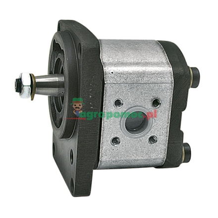 Bosch Single pump