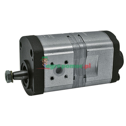Bosch/Rexroth Double pump | 89880C91