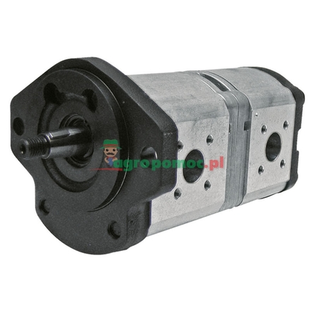Bosch/Rexroth Double pump | 7700034421