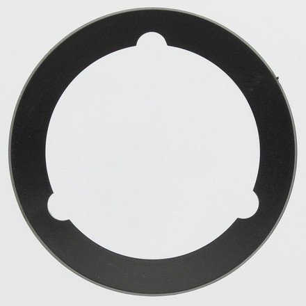 BPW Sealing ring