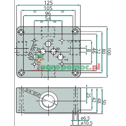 BREVINI NG10-Connection plate S 3/4" BSP | BS 5 15 00 1