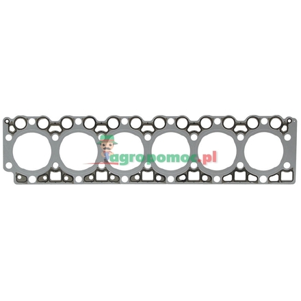 Elring Cylinder head gasket | F934201210510