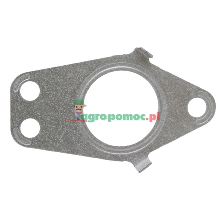 Elring Exhaust manifold gasket | 3661420180