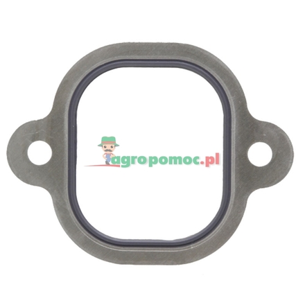 Elring Intake manifold gasket | 4571410080