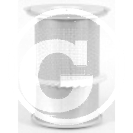 Fleetguard Luftfilter