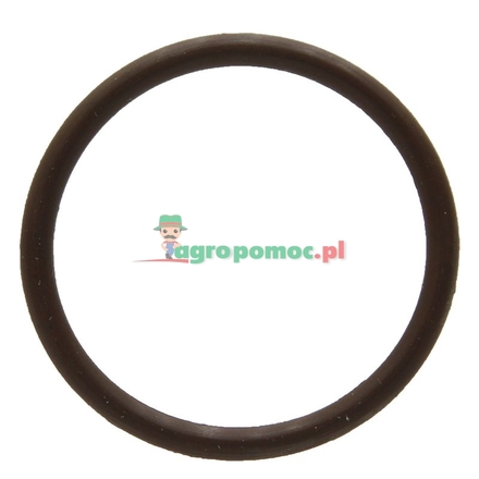 Hardi O-ring | 242354