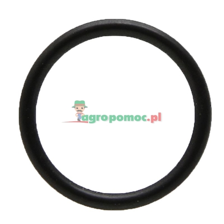 Holder Ring seal | 014711, 0009973309