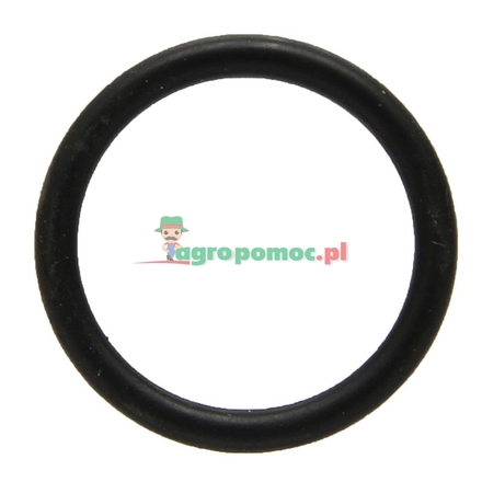 Holder Ring seal | 014752, 0009979609