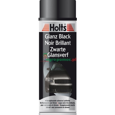 Holts Gloss Black