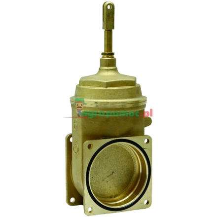 MZ Piston gate valve