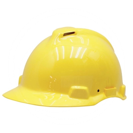 Peltor Forestry helmet