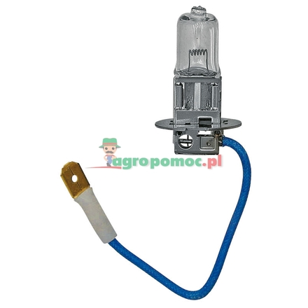 Philips Halogen bulb H3