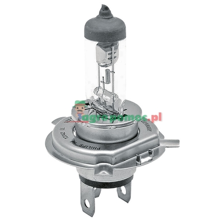 Philips Halogen bulb H4
