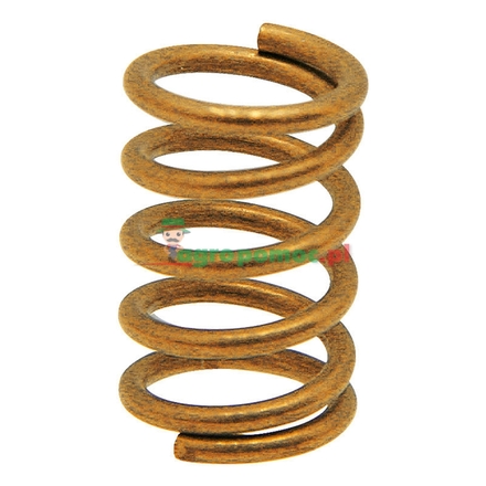 Rau Filter spring | 00002603