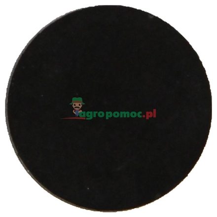 Rau Gasket | 00045507