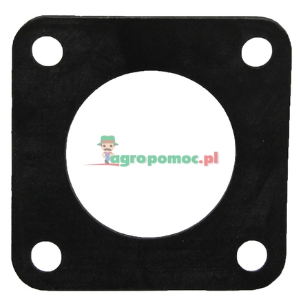 Rau Gasket | 00051859