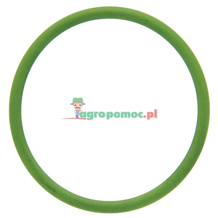 Rau O-ring | 00031009