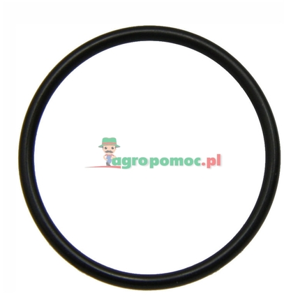 Rau O-ring | 00018765