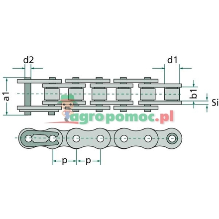 Rexnord Roller chain