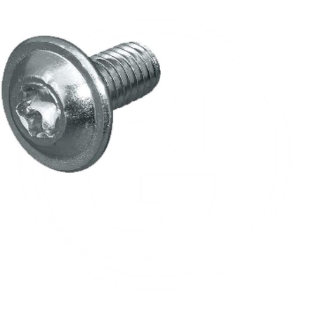 SCHUMACHER Tork screw | 51397.04