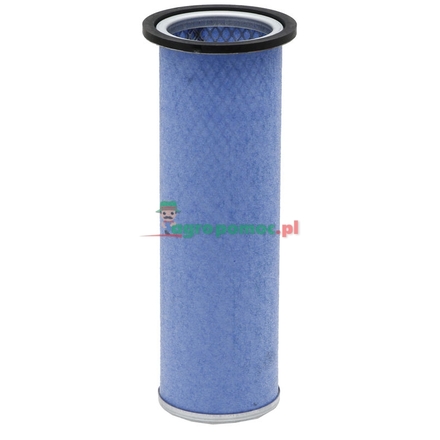 Secondary air filter