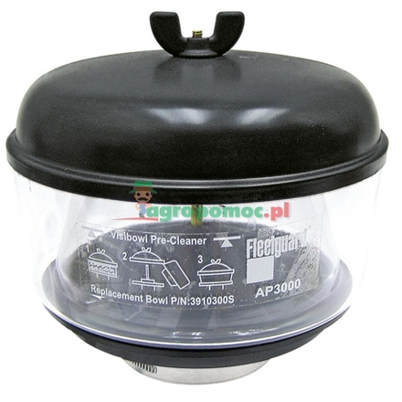 Secondary air filter