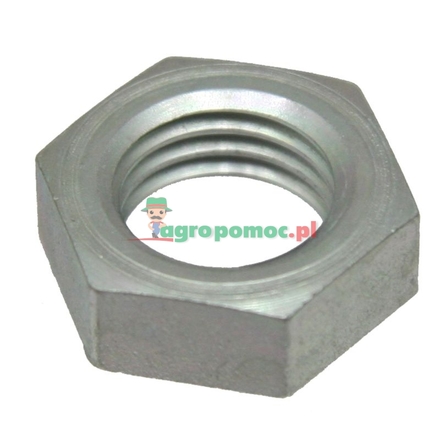 WABCO Counter nut | 810 315 002 4