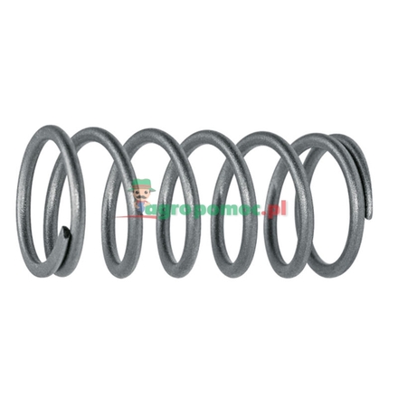Walterscheid Compression spring | 307985