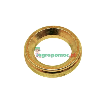 Walterscheid Guide ring | 308144