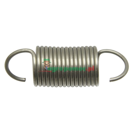 Walterscheid main spring | 308524