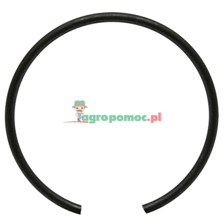 Walterscheid Snap ring | 168638