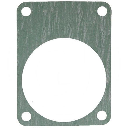 ZF Gasket