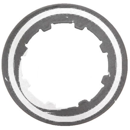 ZF Internal plate