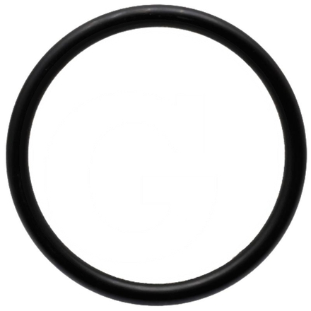 ZF O-ring