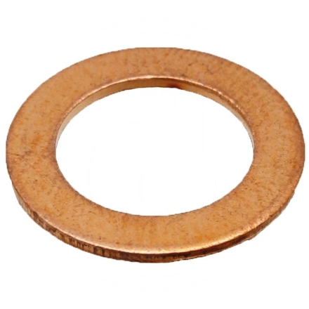 ZF Sealing ring
