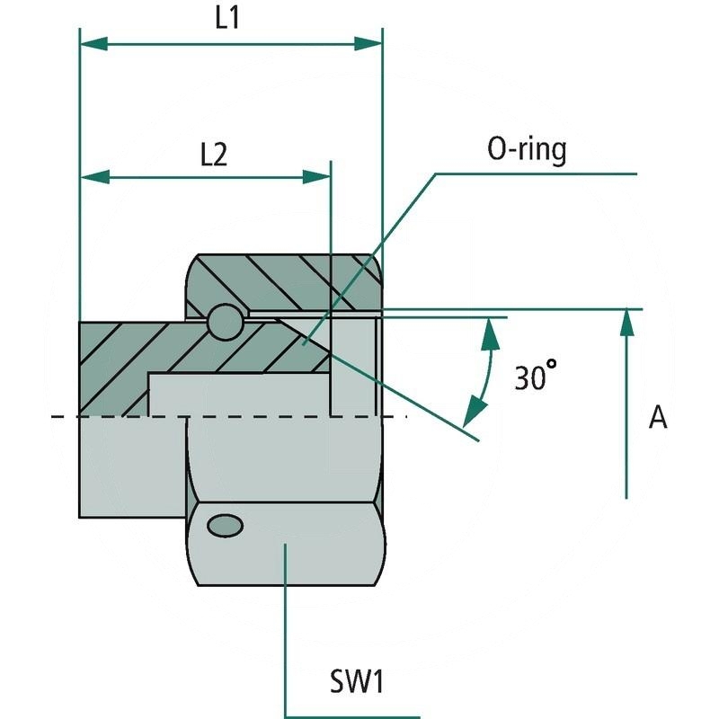 AV 3/4 FS-BSP | zdjęcie nr 2