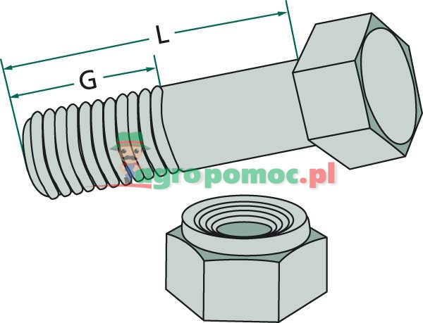 Bolt | zdjęcie nr 2
