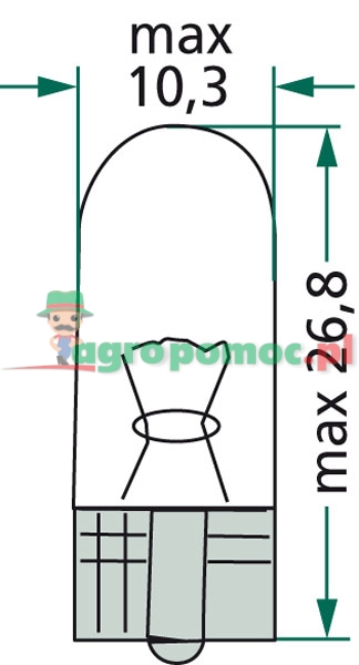 Bulb | zdjęcie nr 2
