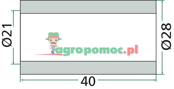 Bush | zdjęcie nr 2