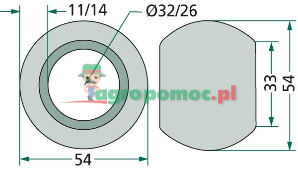 Castor | zdjęcie nr 2